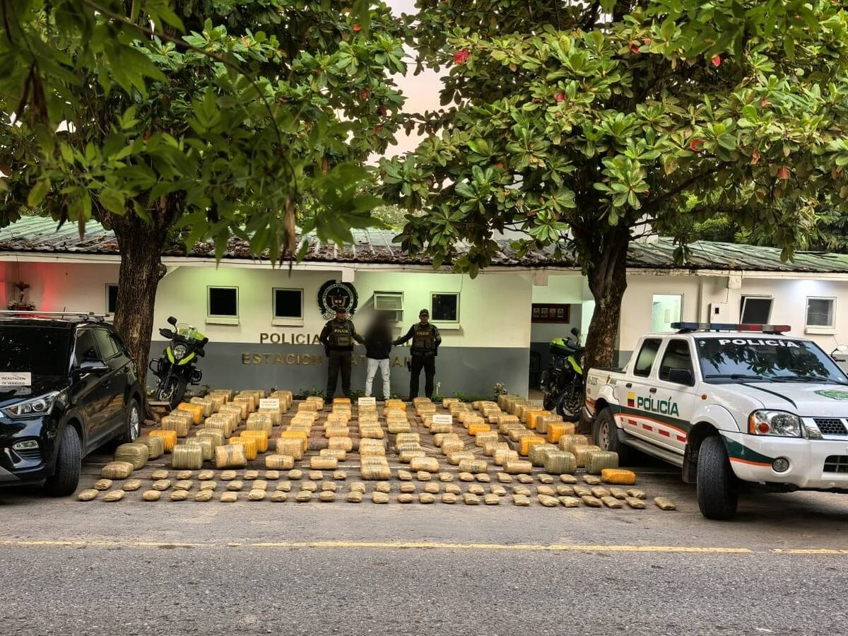 Policía incautó cargamento de 445 kilos de marihuana en vías del Tolima