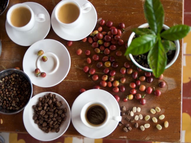 Se debe recuperar la unidad del sector caficultor: Santiago Pardo, ternado para la FNC