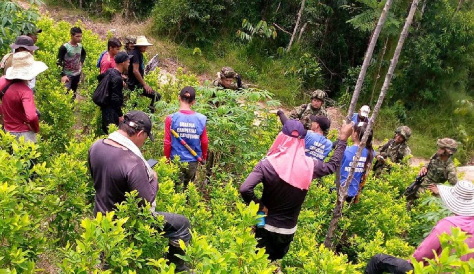 Tensión entre cultivadores de hoja de coca y miembros del Ejército Nacional en Tibú- Cortesía 