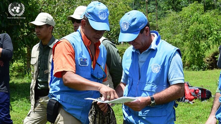 Imagen de referencia. Foto: Colprensa