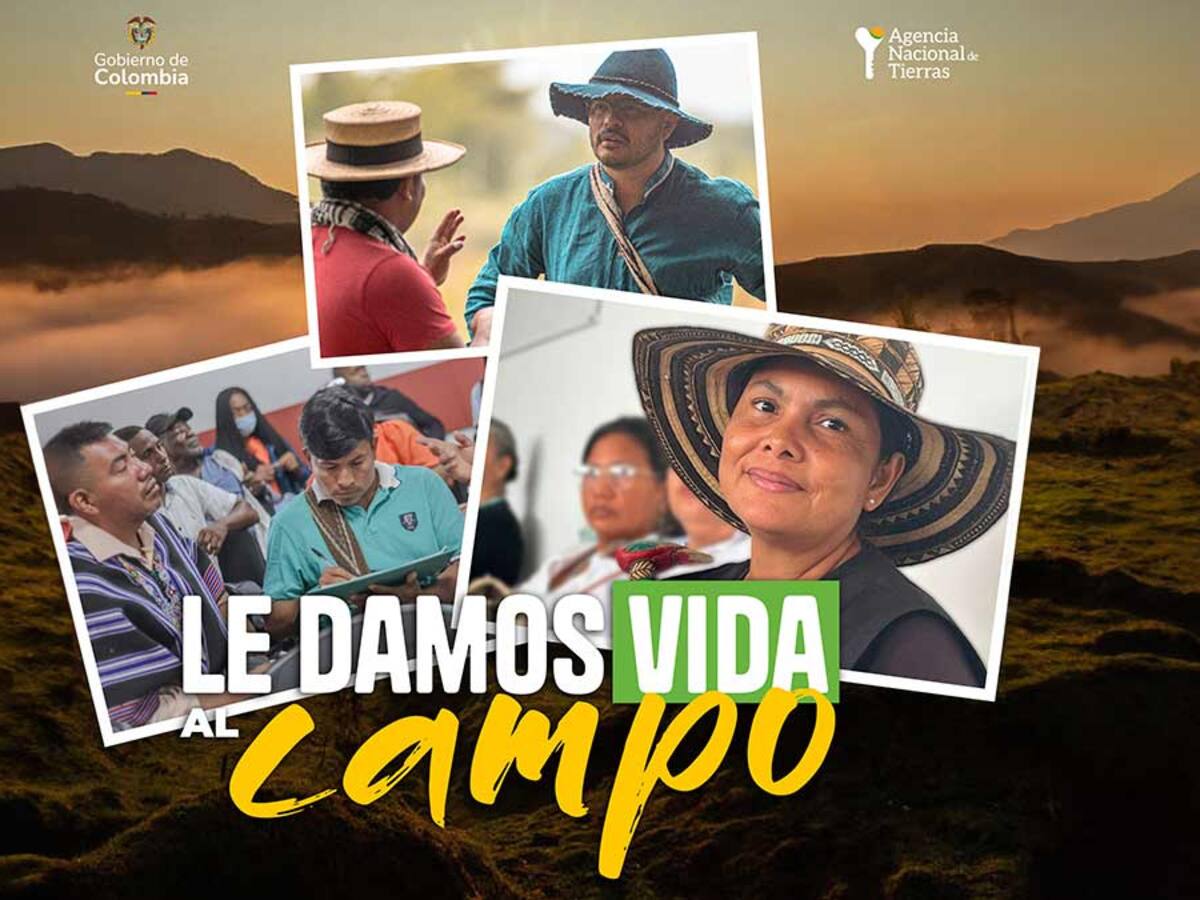 ANT entregó títulos colectivos por 2.231 hectáreas para comunidades negras previo a COP16