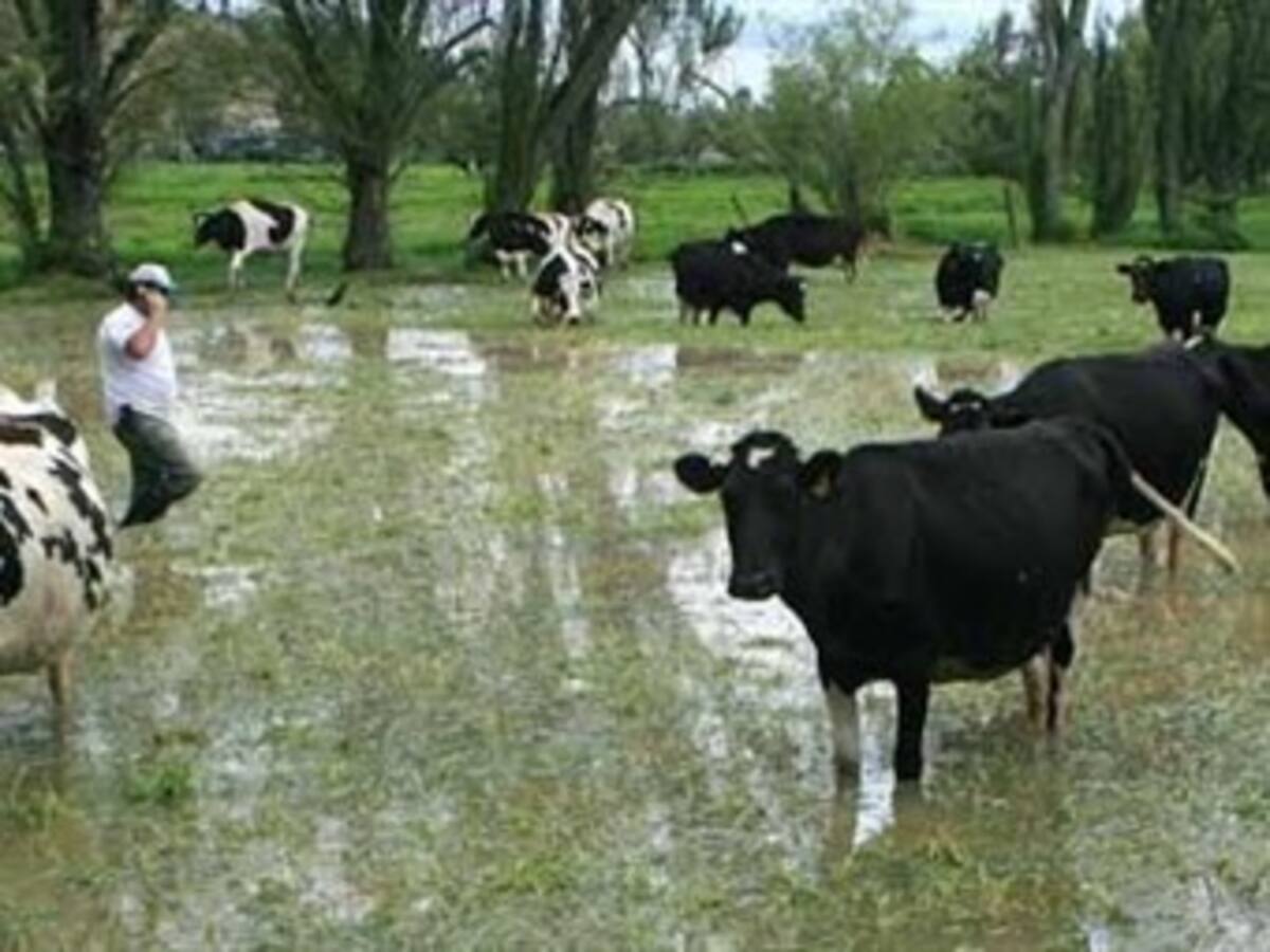 Ganaderos responsabilizan a la CAR por inundaciones de los valles de Ubaté y Chiquinquirá