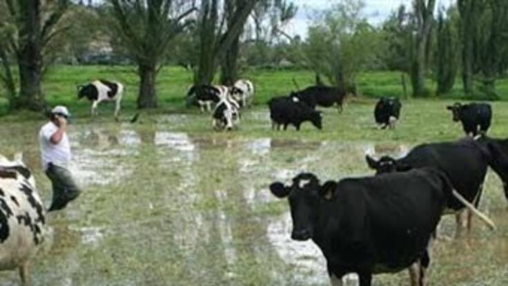Ganaderos responsabilizan a la CAR por inundaciones de los valles de Ubaté y Chiquinquirá