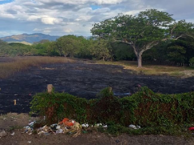 Sectores productivos afectados por temporada seca en Tolima