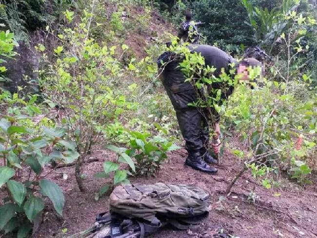 El gobierno retiró apoyo a las familias del PNIS: Veeduría de FARC