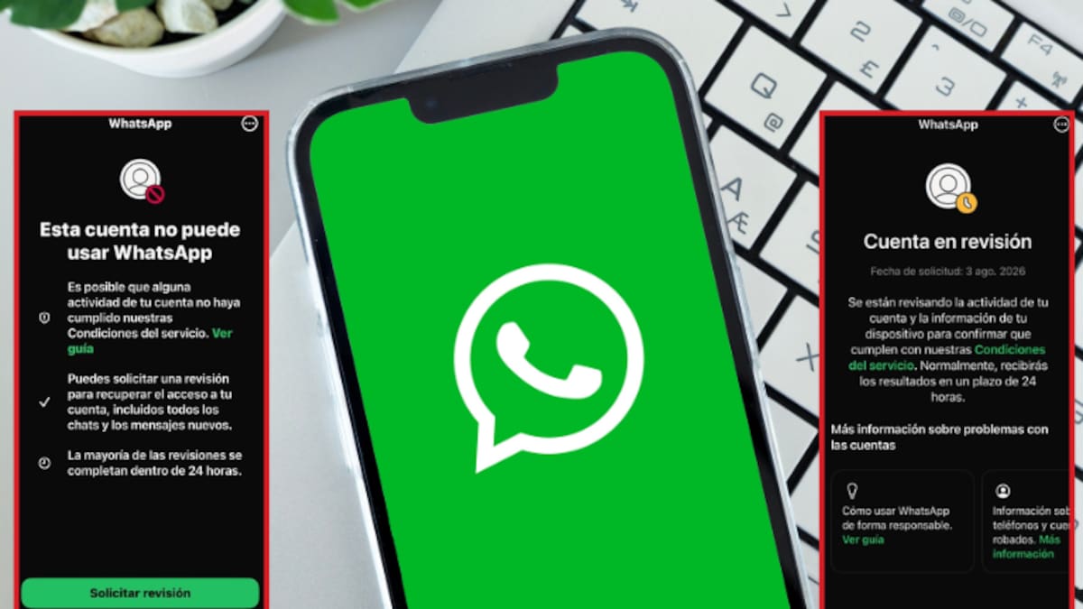 Alerta en WhatsApp: Cuentas bloqueadas masivamente ¿Qué hacer si le pasó?