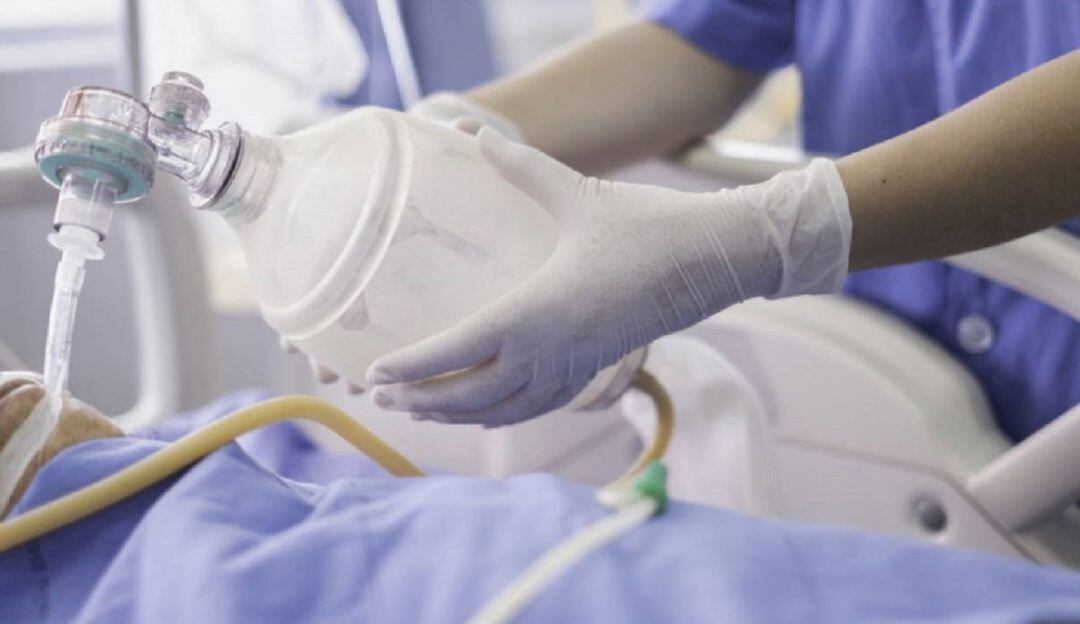 imagen de referencia