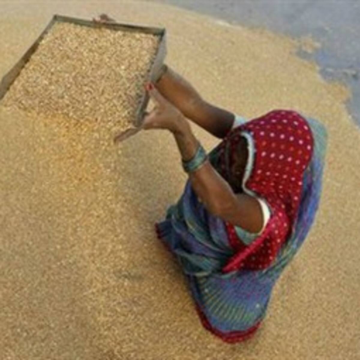 La propuesta más polémica donde se quiere alimentar a 800 millones de indios
