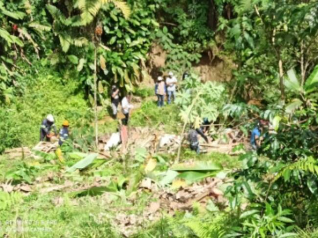 Autoridades ambientales recuperan 1.5 hectáreas del Ecoparque Los Yarumos