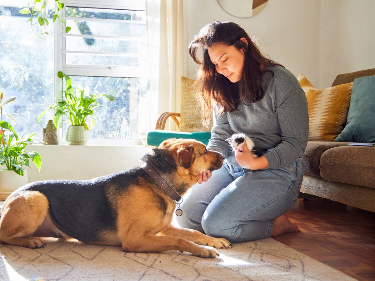 Mascotas: Aliadas contra la ansiedad y la soledad