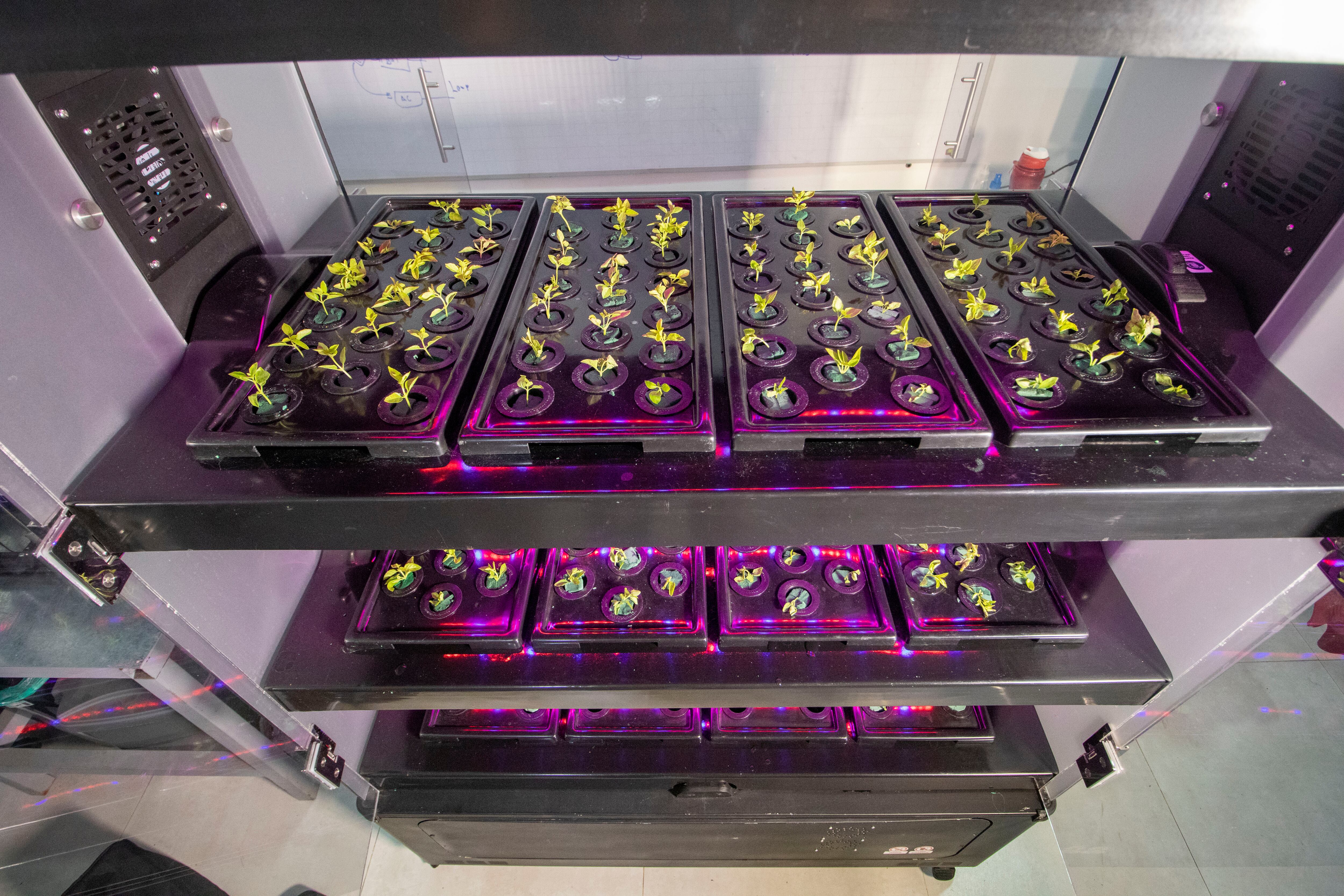 PlanToGo, dispositivo para cultivar en pequeños espacios. Foto: cortesía Centro de Desarrollo Tecnológico Octopus Force