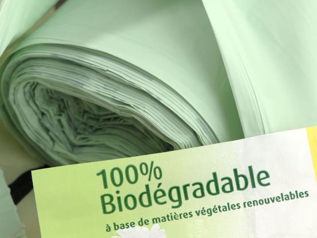 1.000 bolsas biodegradables regalarán en Pasto