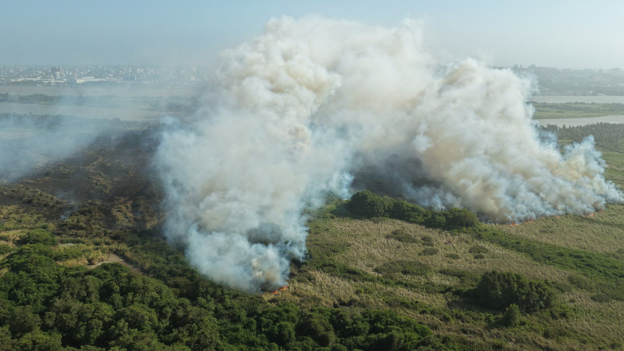 Incendio forestal en el parque Isla Salamanca. Foto: @AlejandroChar