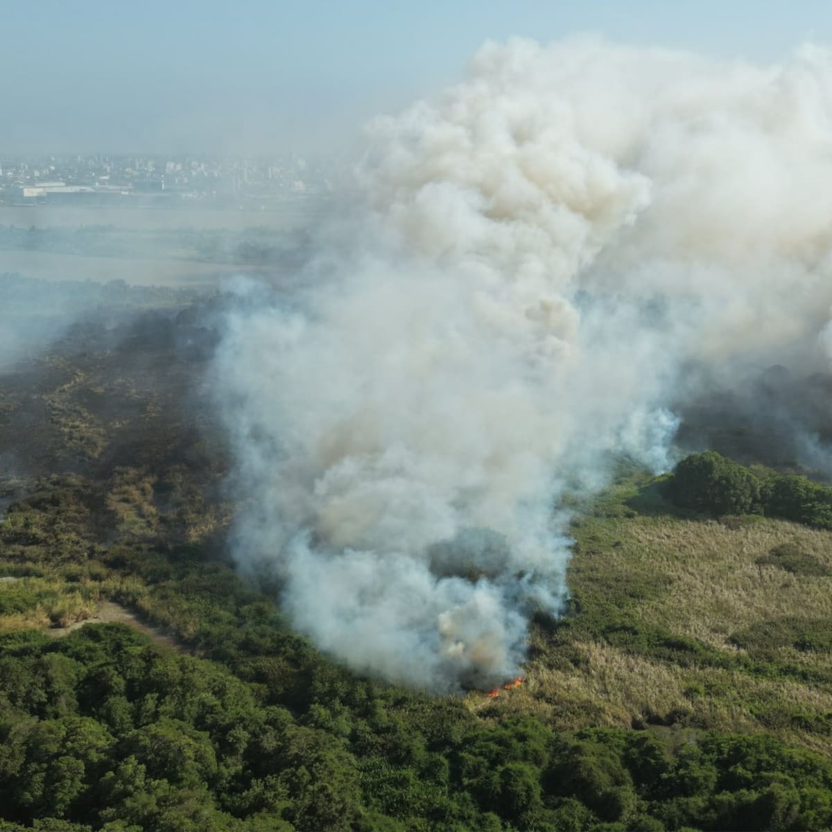 Gobernación del Magdalena facilita control de incendio en Isla de Salamanca