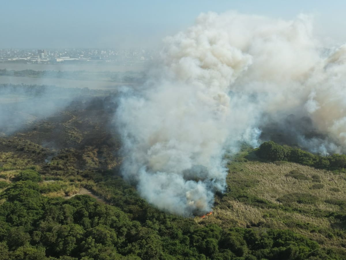 Gobernación del Magdalena facilita control de incendio en Isla de Salamanca