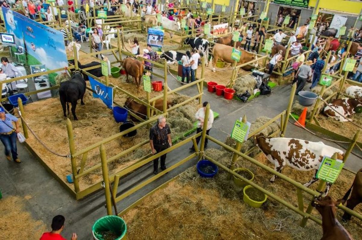 Vea como fue la edición 2012 de la feria de negocios de Colanta