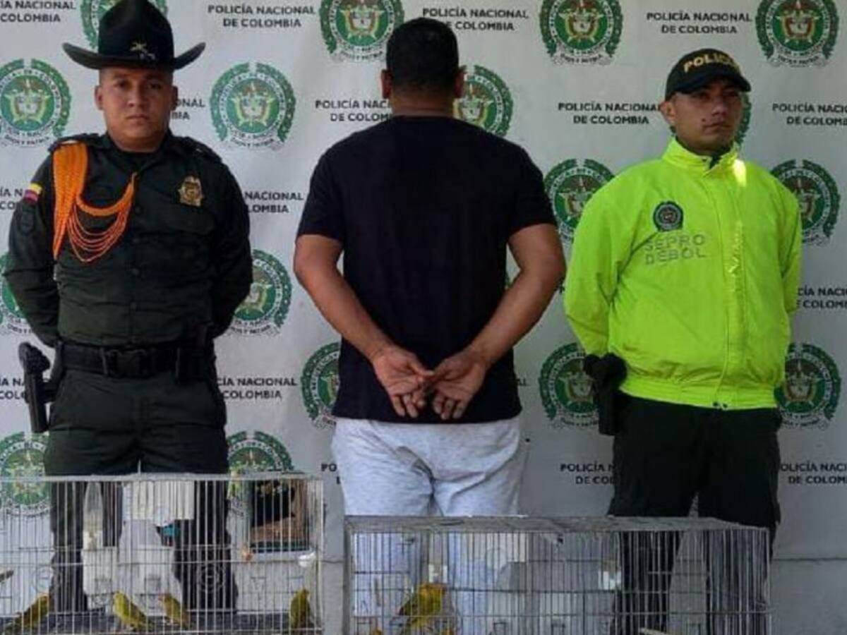 Capturado hombre por presunto tráfico de aves silvestres en Bolívar