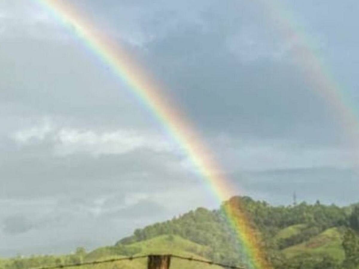 Martes 17 de noviembre, las noticias más importantes de Armenia y Quindío