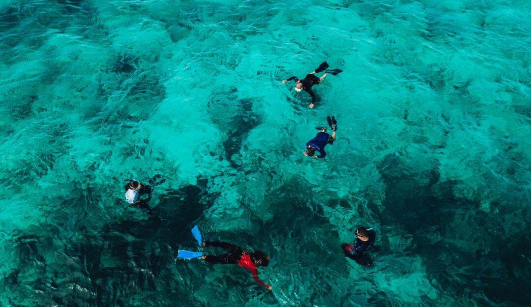 Corales en Providencia