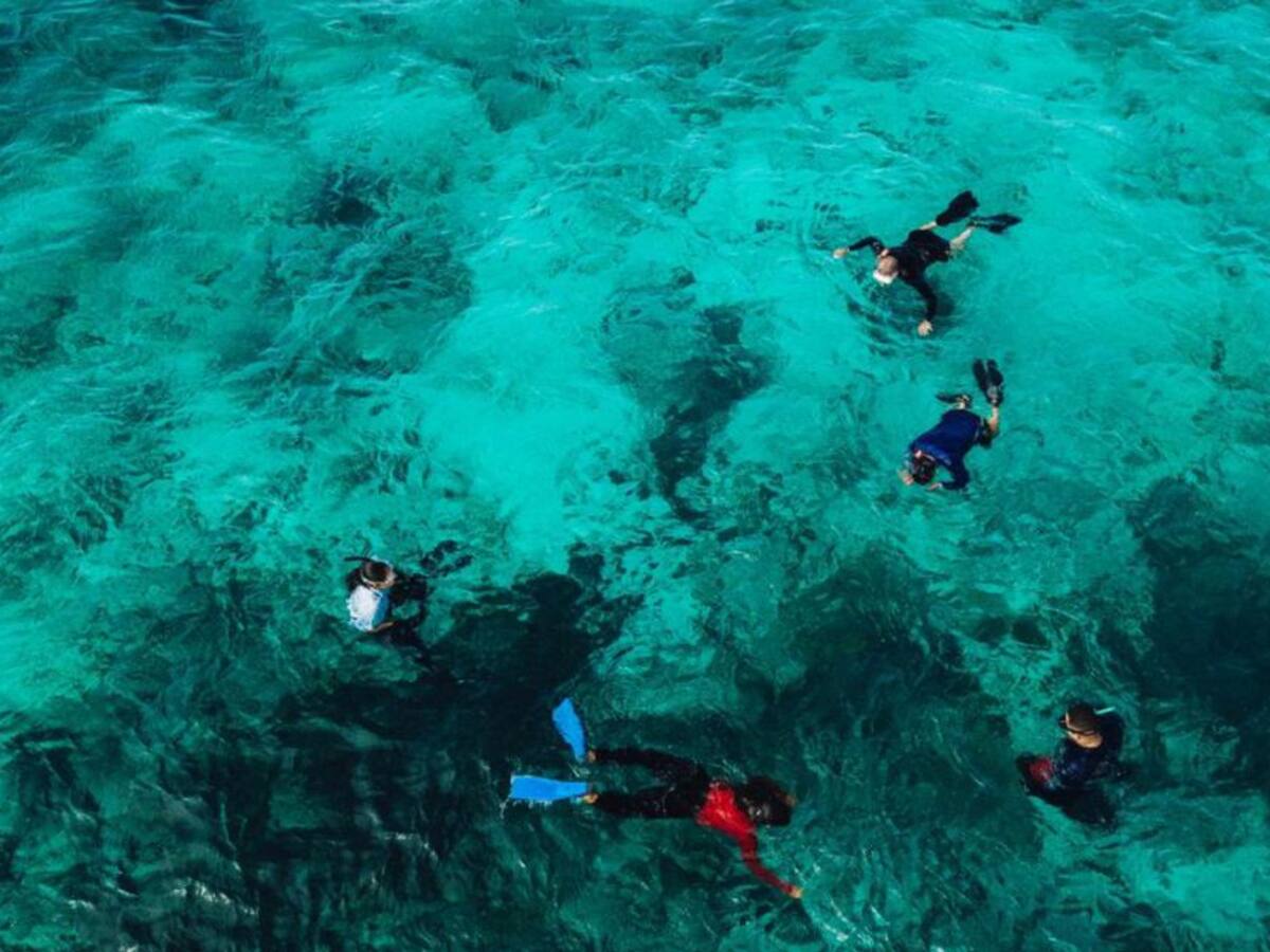 Ponen en marcha primer piloto de cultivo de corales en Providencia