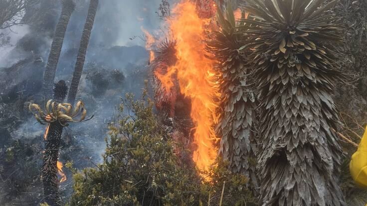 742 municipios del país están en alerta por aumento de incendios forestales: Minambiente