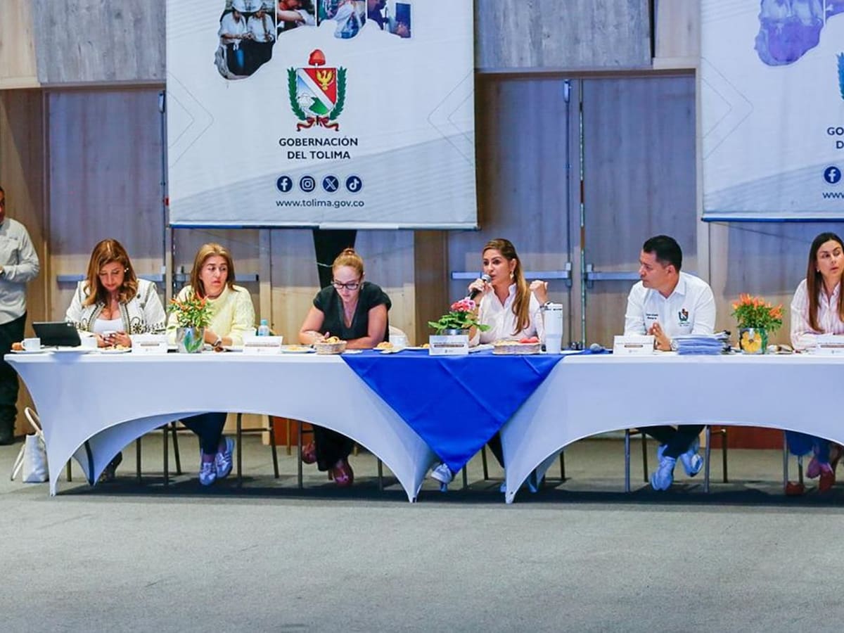 La Gobernación del Tolima ejecuta proyectos por $1.2 billones: Adriana Matiz