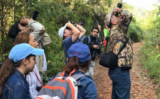 Toures de observación de aves para todas las edades y todo el público.