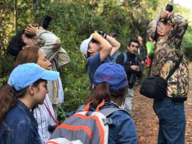 Toures de observación de aves para todas las edades y todo el público.