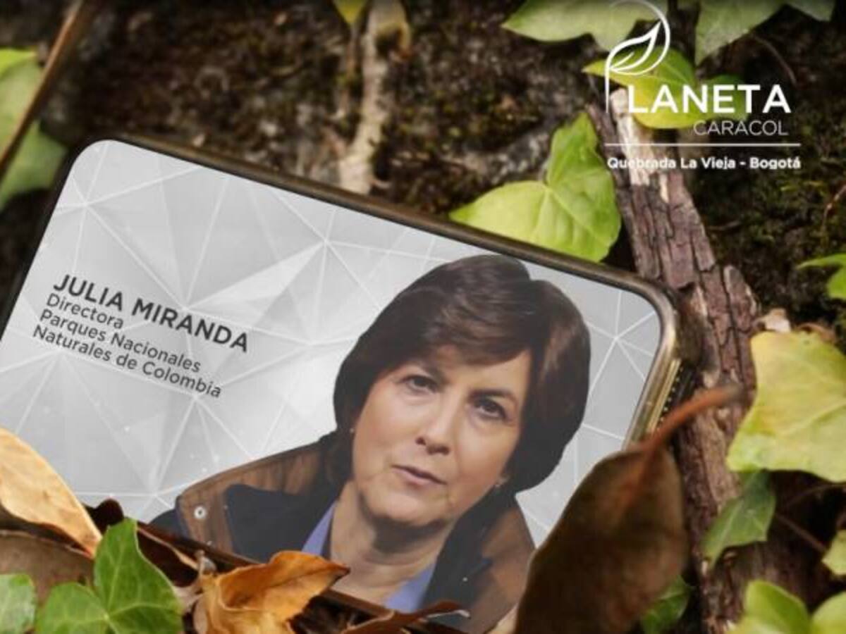 Ya son más de 40 millones de hectáreas protegidas en Colombia