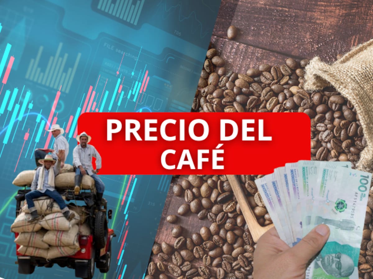 ¡Empezó el año creciendo! Precio del CAFÉ en Colombia para HOY, 2 de enero, según FNC