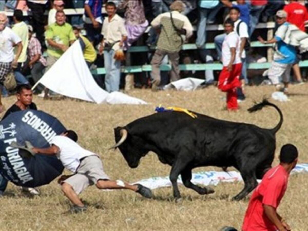 Fiestas de corralejas sí pueden realizarse: Consejo de Estado