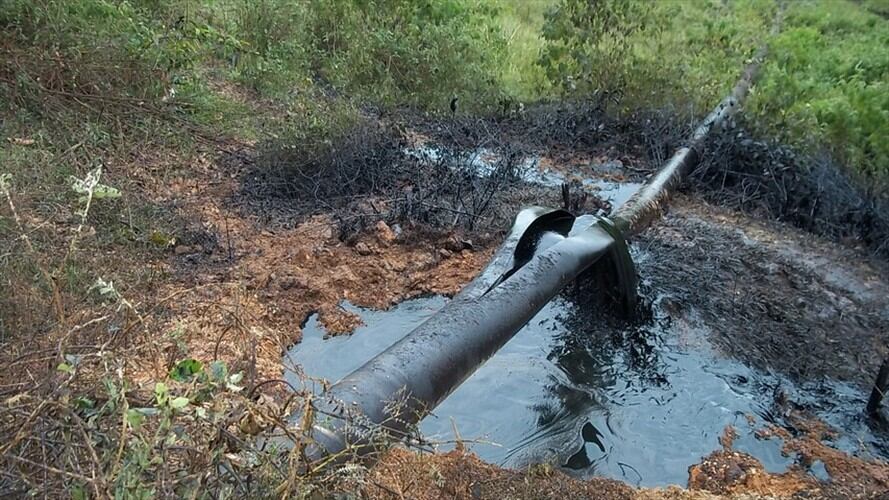 Imagen de referencia. Foto: Colprensa