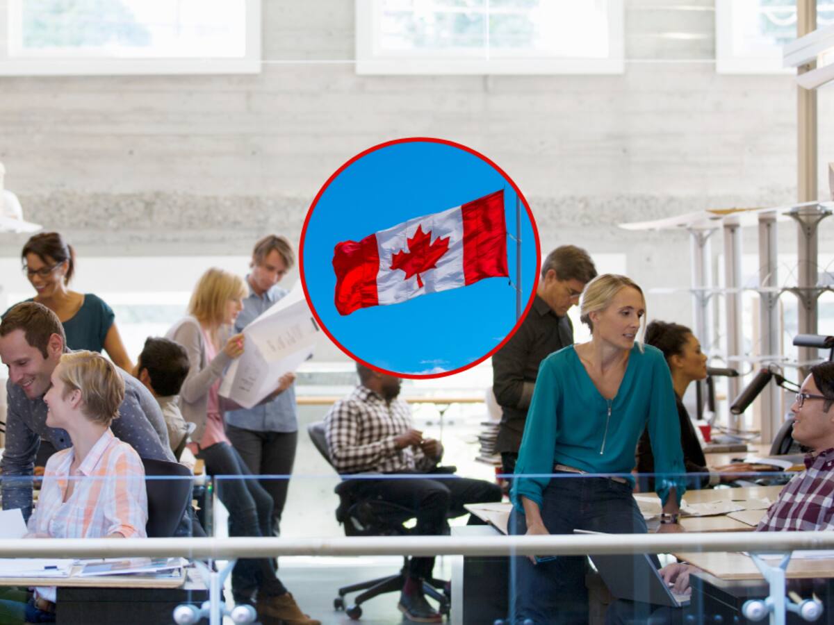 Feria de empleo con ofertas laborales para Colombianos en Canadá: cómo inscribirse y más