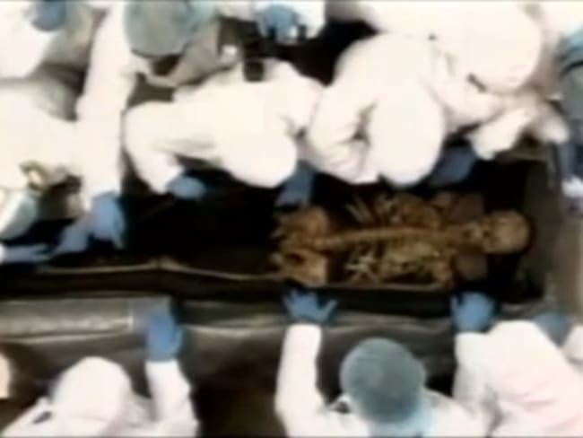 Venezuela exhibe los restos exhumados de Simón Bolívar