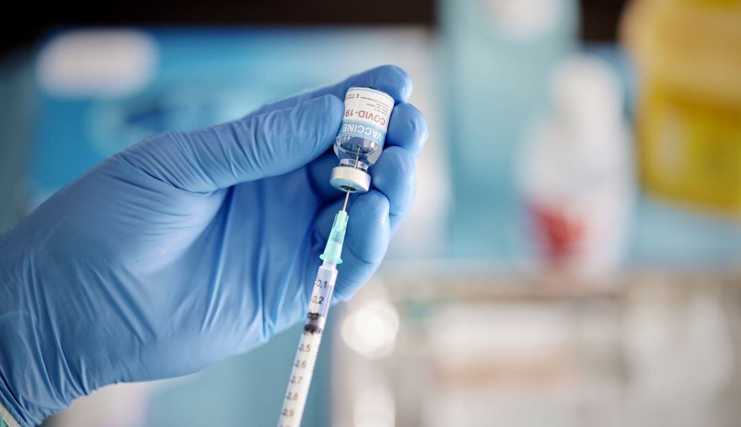 Imagen de referencia