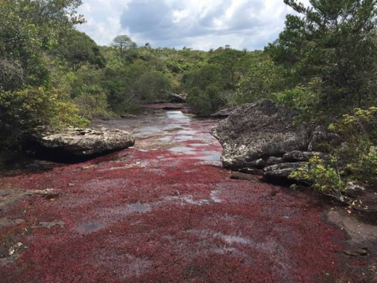 Santos dará inicio a obras para potenciar turismo en Caño Cristales
