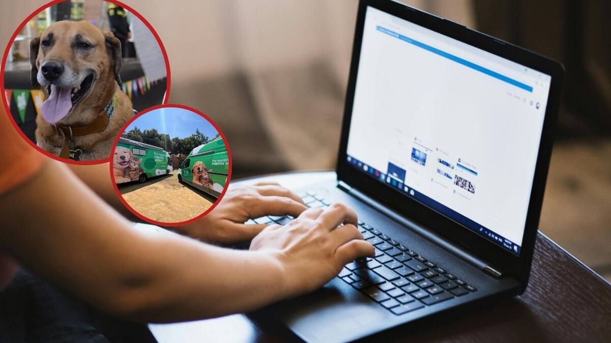 Claudia Amaya, secretaria de Salud y Ambiente de Bucaramanga