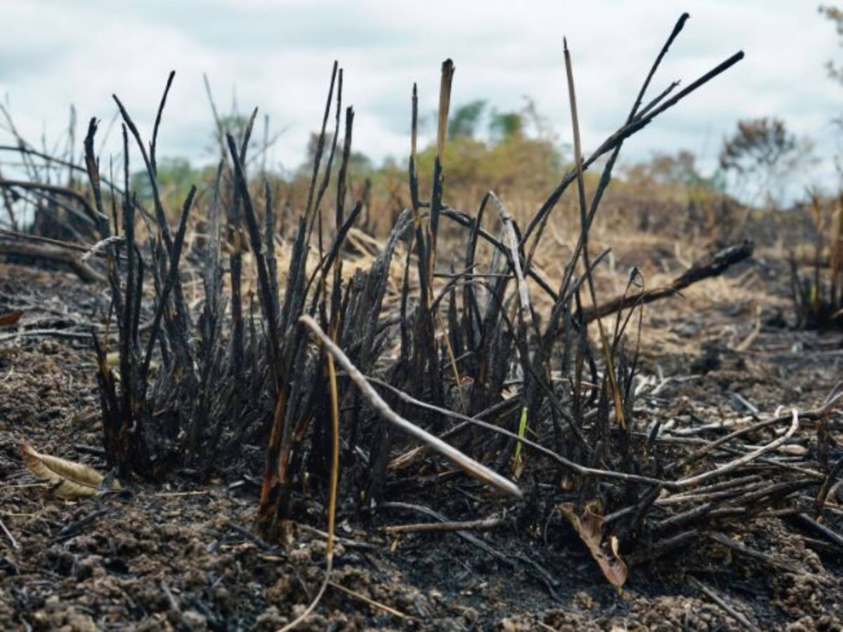 Incendio afectó 13 hectáreas en zona protegida de San Silvestre, en Barrancabermeja