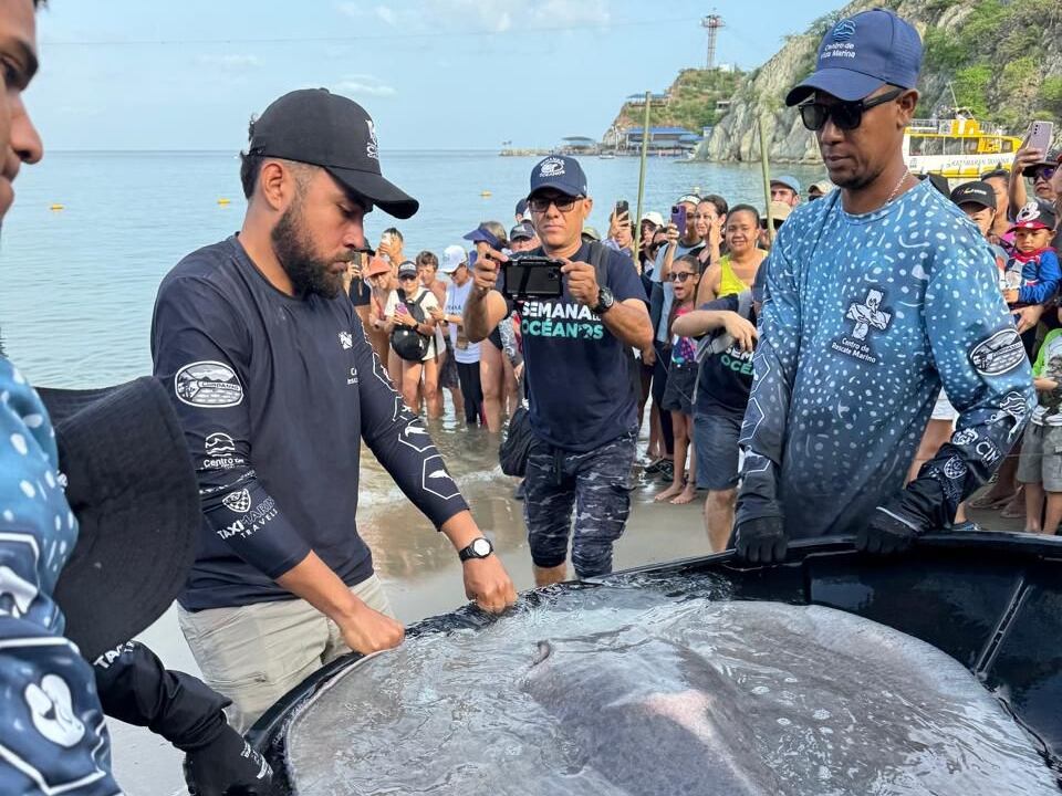 Semana de los Océanos en Santa Marta . Corpamag