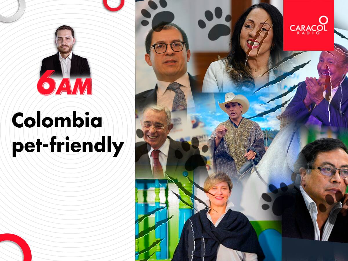Colombia pet-friendly