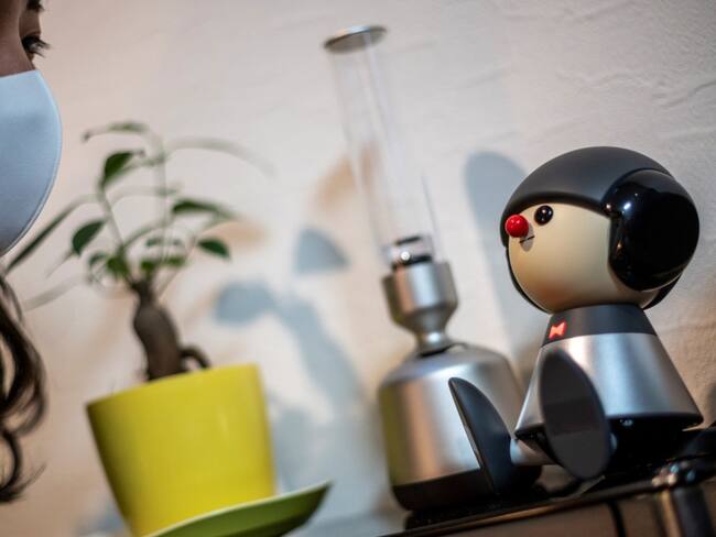 Robots de compañía reconfortan a solitarios en pandemia
