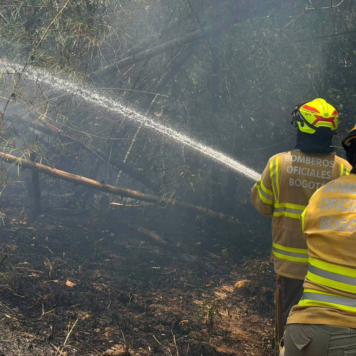 Bomberos de Bogotá trabajan para controlar los incendios en el Tolima: Gobernadora pide más ayuda