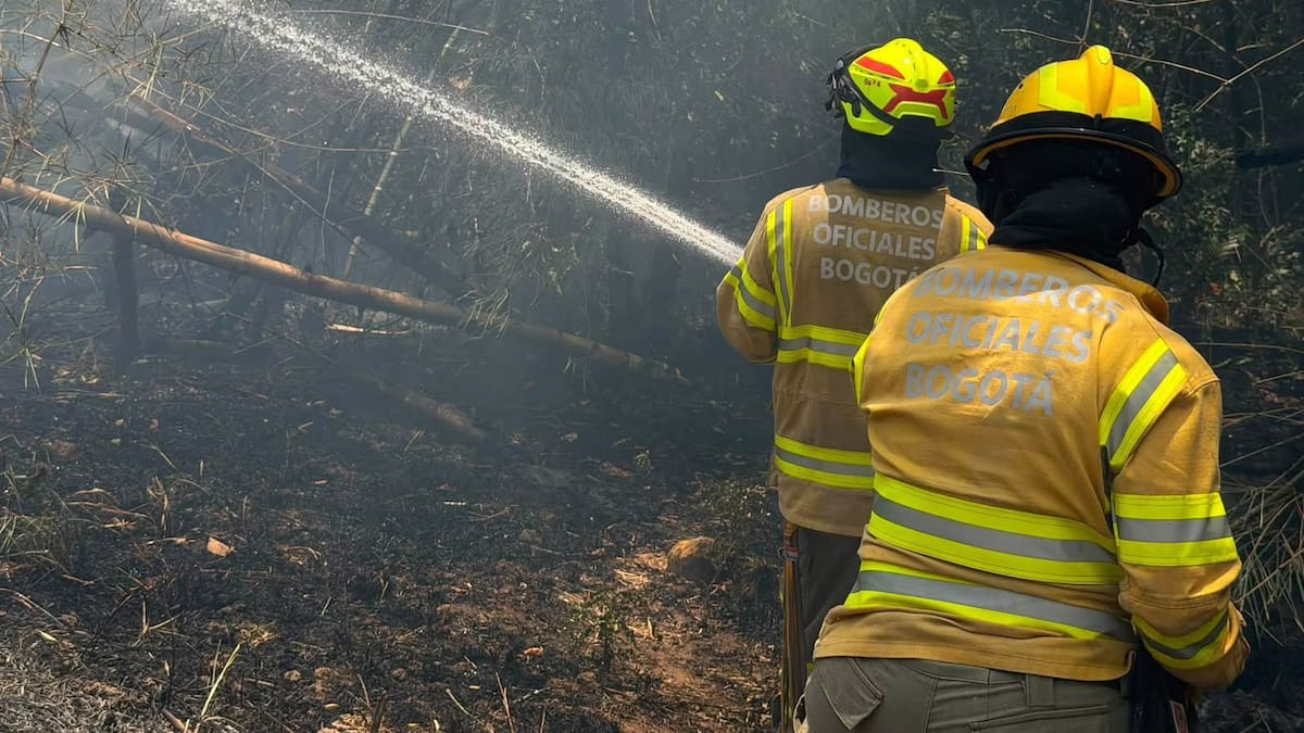 Bomberos de Bogotá trabajan para controlar los incendios en el Tolima: Gobernadora pide más ayuda