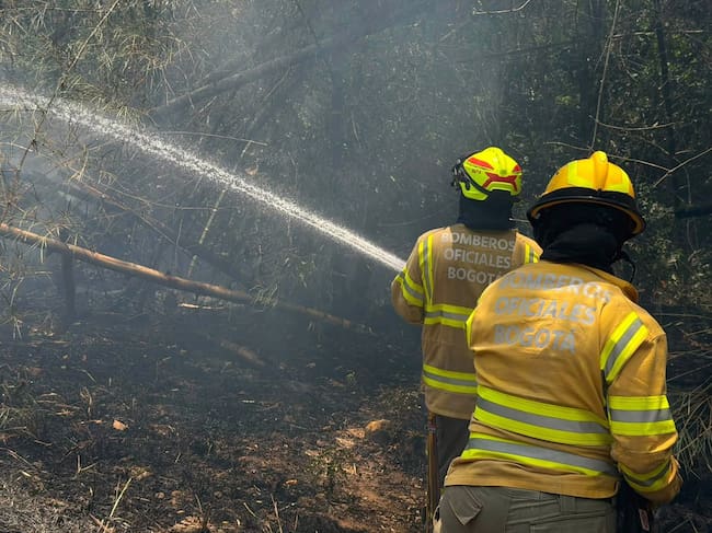 Bomberos de Bogotá trabajan para controlar los incendios en el Tolima: Gobernadora pide más ayuda