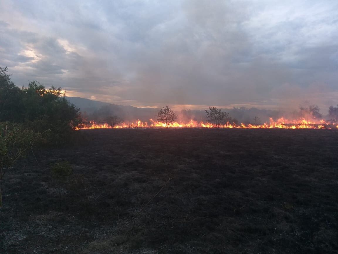En el 2023 a la fecha, se han registrado cerca de  237 incendios forestales en el Huila.