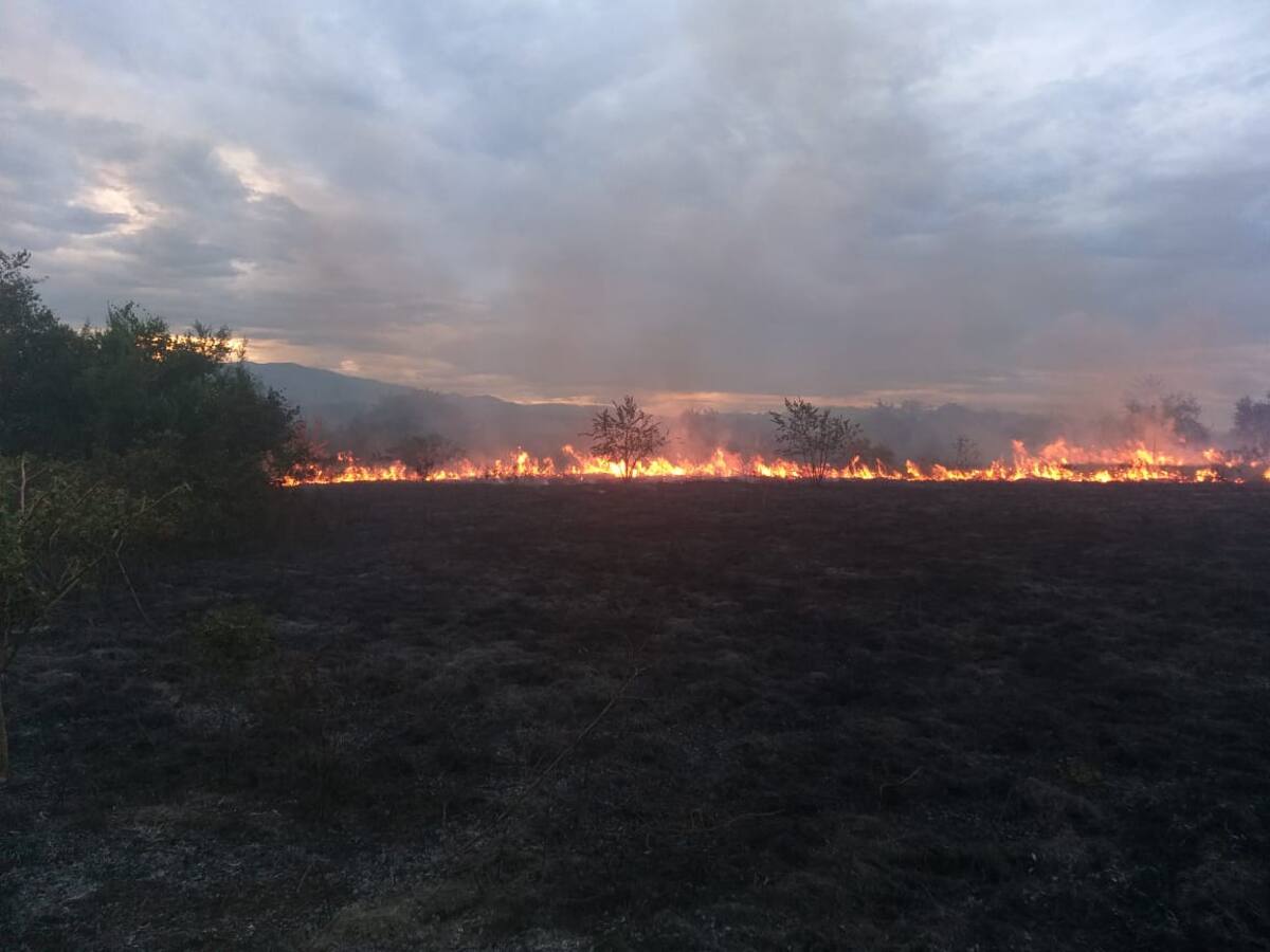 Incendios forestales y altas temperaturas, activan las alarmas en el Huila