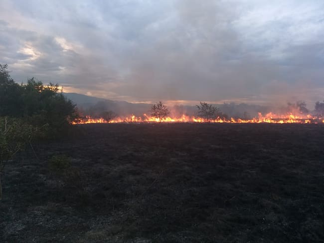 En el 2023 a la fecha, se han registrado cerca de 237 incendios forestales en el Huila.