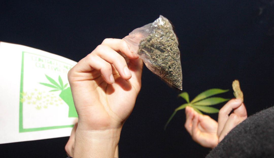 Imagen de referencia. 