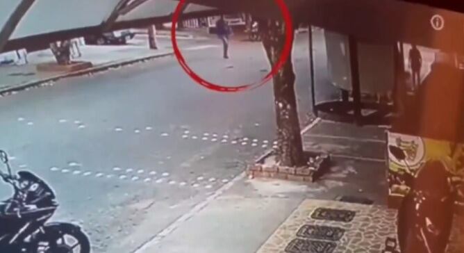 Denuncian el hurto masivo de mascotas en Bucaramanga.