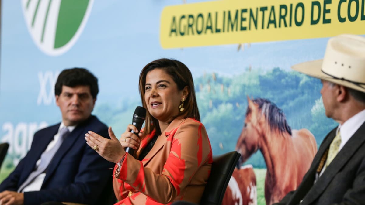 Jhenifer Mojica, MinAgricultura en La W: zonas de reserva e invasión de tierras de la SAE